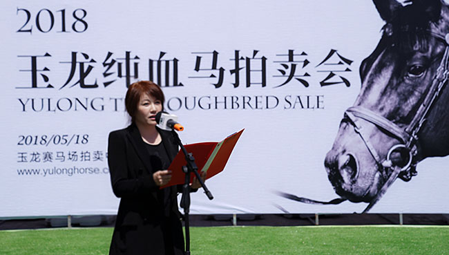 山西玉龍投資集團(tuán)有限公司